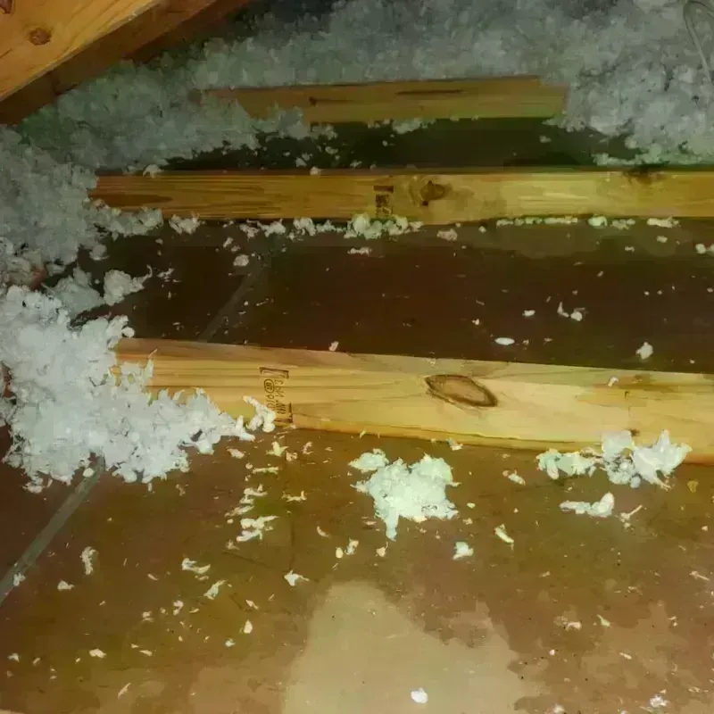 Attic Water Damage in Dumas, AR