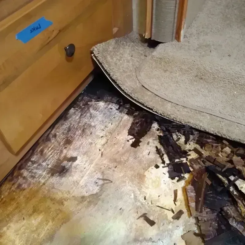 Wood Floor Water Damage in Dumas, AR